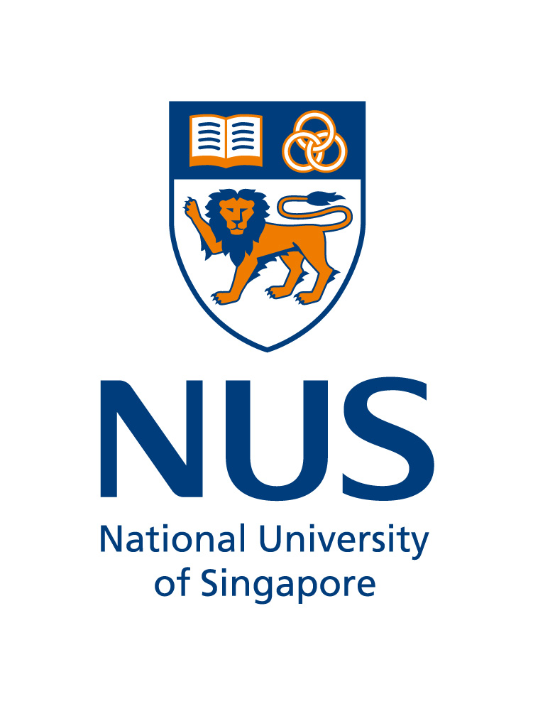 NUS Summer Research Internship